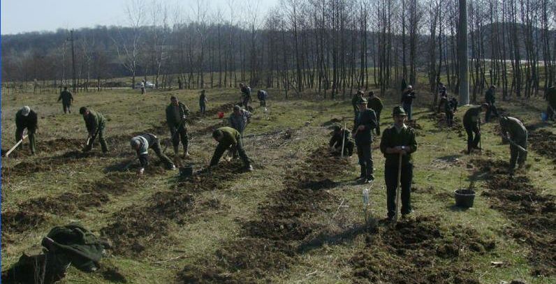 „Luna plantării arborilor? în Vâlcea