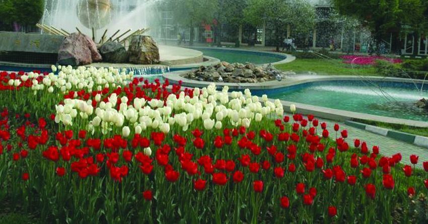 „Simfonia lalelelor” ? expoziţie florală de excepţie