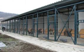 A început construcţia padocului de la Motru