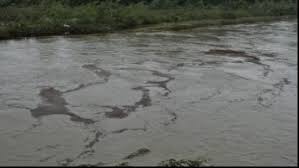 Poluări accidentale