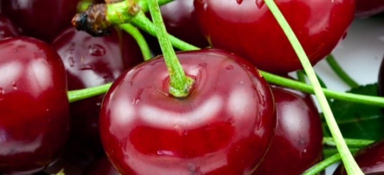 Visinele vedetele verii