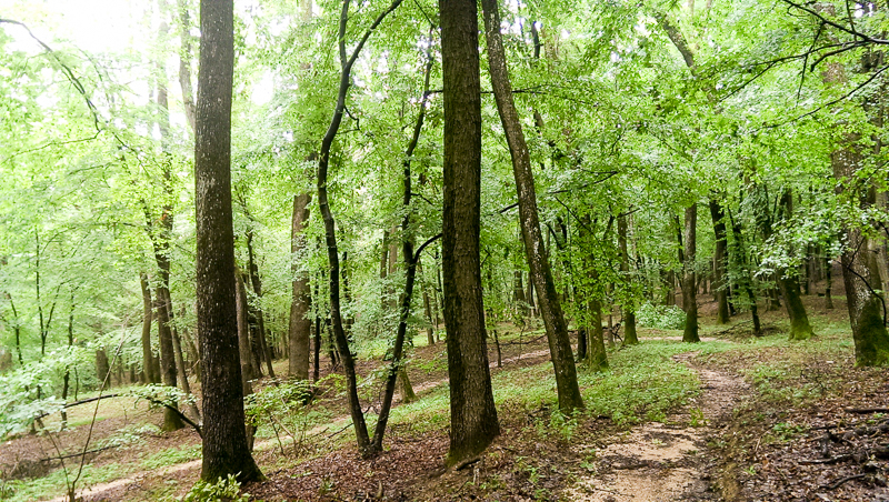 Prognoza meteo 14/15 martie (audio)