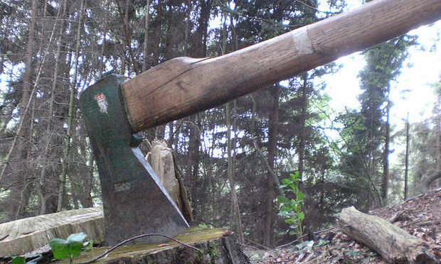 Controale pentru împiedicarea tăierilor ilegale de păduri