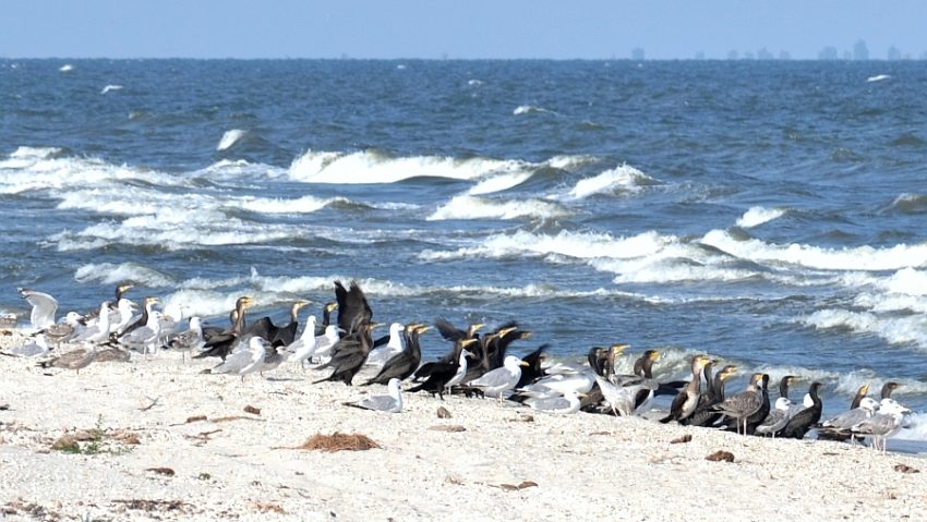 Destinaţia zilei: Gura Portiţei
