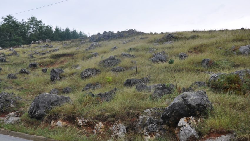 Destina?ia zilei: PONOARELE, LOCUL UNDE PIETRELE NASC PIETRE