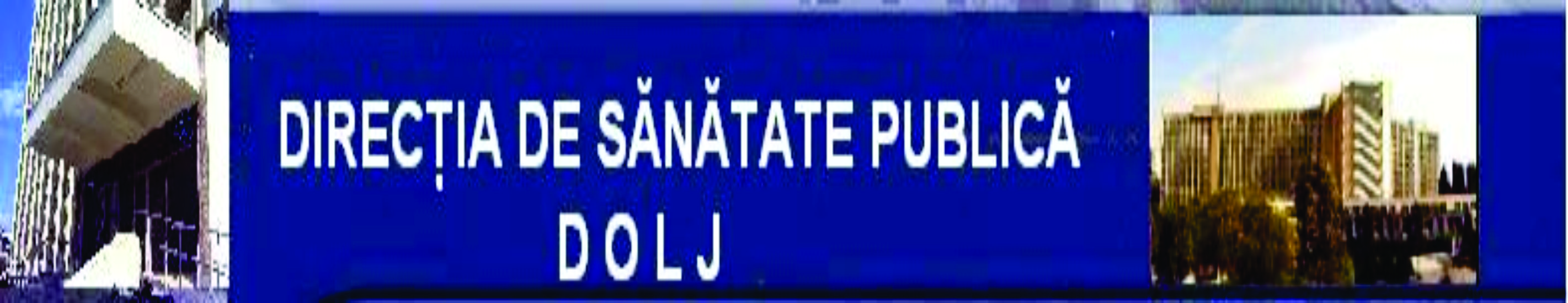 DSP a amendat Liceul din Dăbuleni