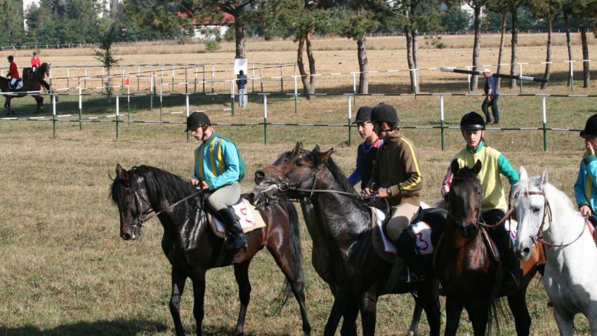 Destina?ia zilei:Împărăţia cailor de la Rădăuţi