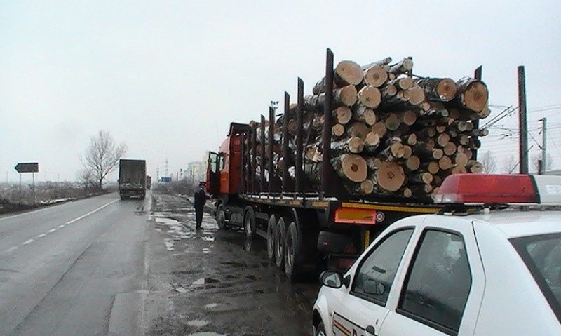 Gorjul este pe podium la transportul ilegal de lemne