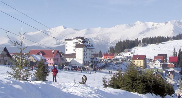 Rânca, rezervată pentru sărbătorile de iarnă