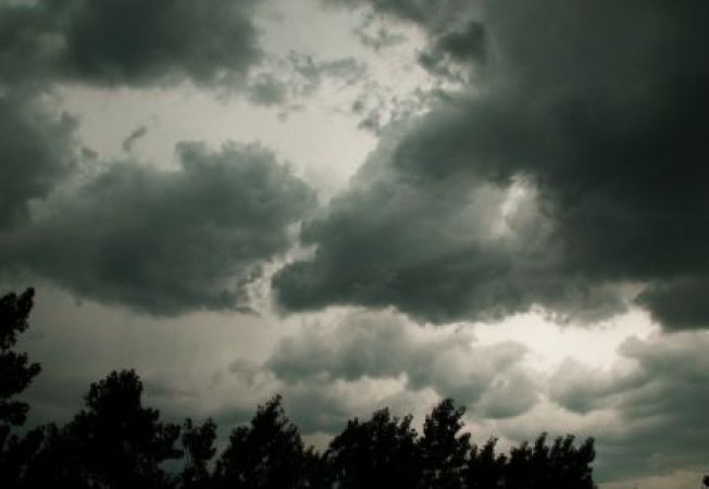 Ajutoare de minimis în Olt