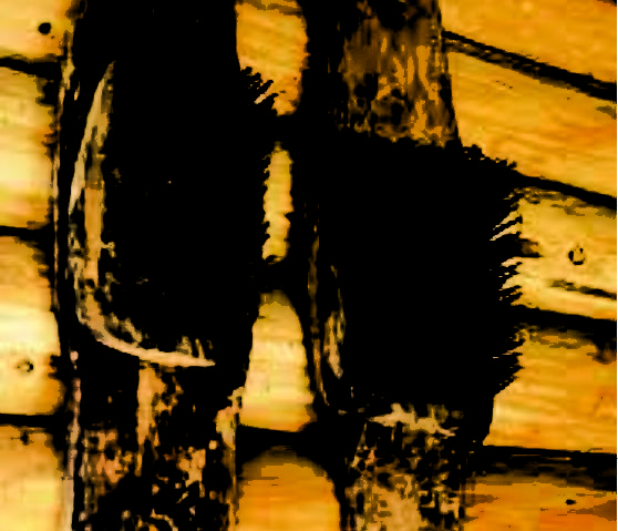 17 octombrie ? Lucinul