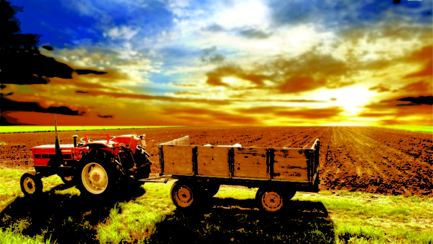 Agricultură ecologică