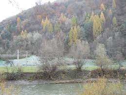 31 octombrie – De la brumărel la brumarul mare