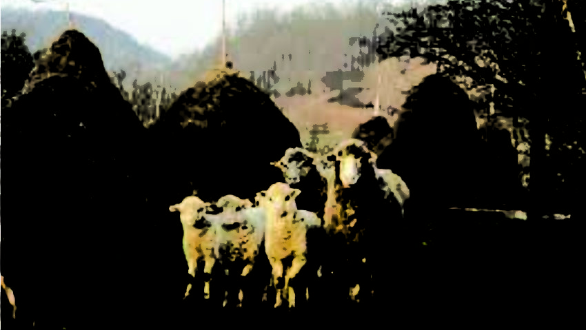 14 octombrie – Sfânta Paraschiva, sfârşitul Verii lui Mioi