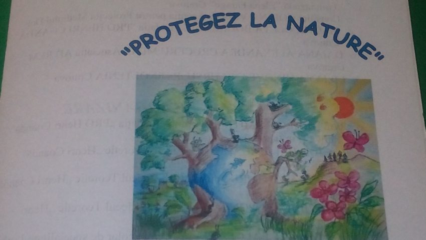 Concurs de creativitate