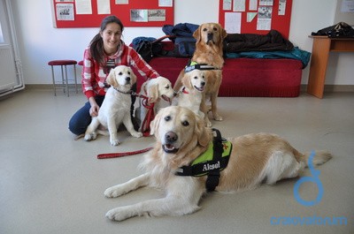 Terapie cu câini la Şcoala Specială „Sf. Mina“ din Craiova