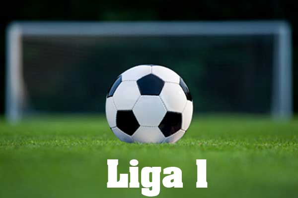 Liga I , etapa a XII-a la fotbal