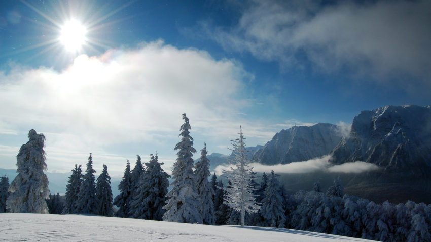 Iarna cu temperaturi normale