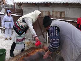 21 decembrie – Sacrificarea porcului