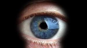 Legea Big Brother, neagreata de CSM