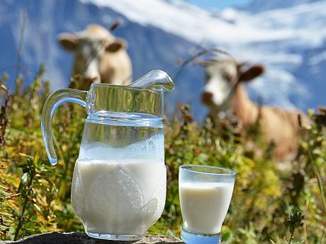 Comisia Europeană dorește noi masuri de sprijin pentru producătorii din sectorul lactatelor