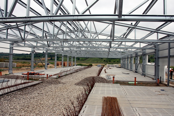 7 ferme zootehnice infiintate in comuna valceana Fauresti