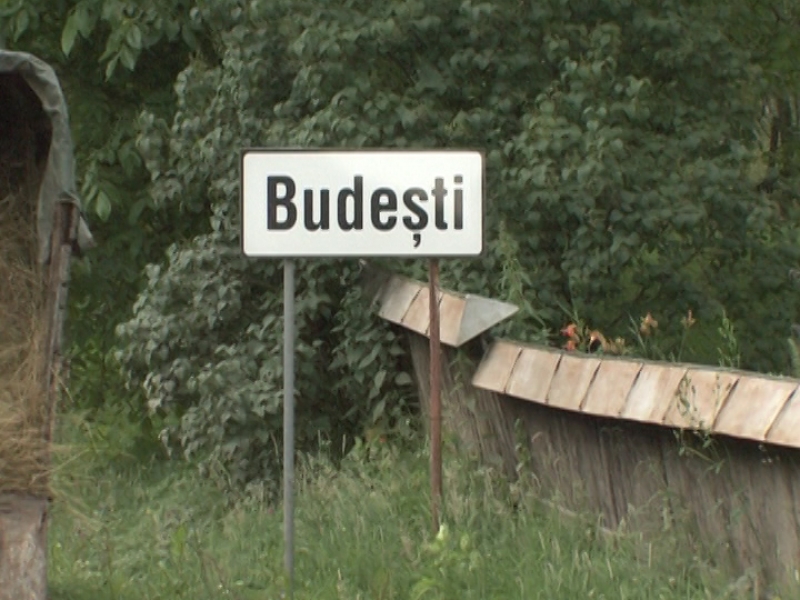 Terenuri puse la dispozitia investitorilor din Budesti, judetul Valcea