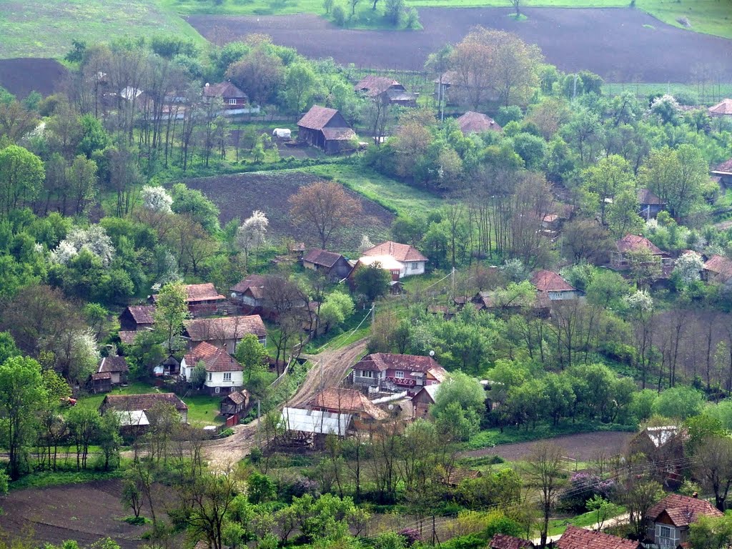 Peste 80 de gospodarii izolate in Valcea