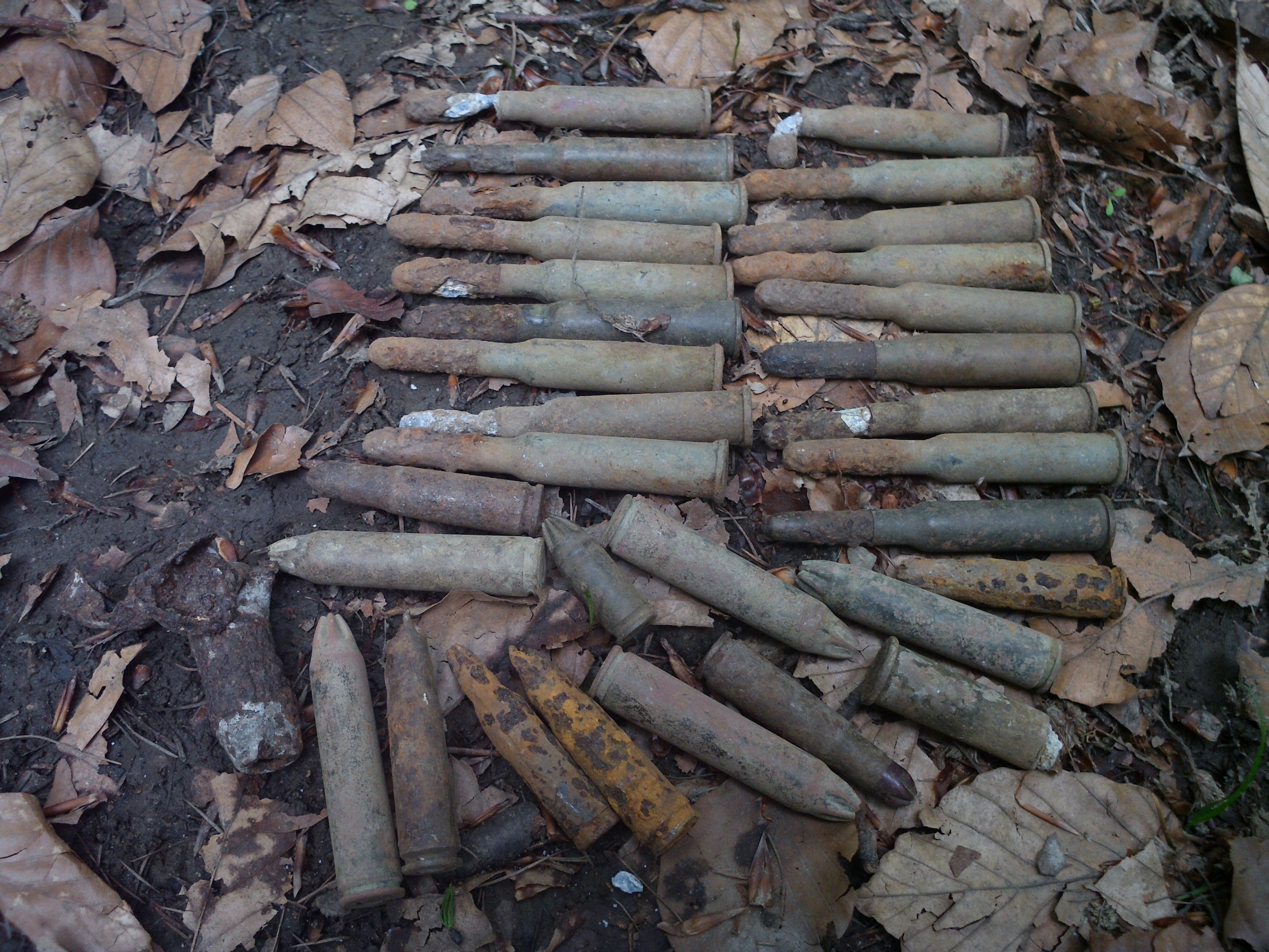 Gloante de muschata descoperite la Ocnele Mari