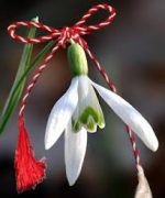 1 MARTIE 2015-MARTISOR