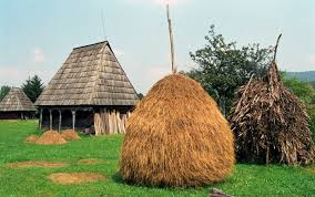 11 MARTIE 2015-DESFACEREA FAPTULUI