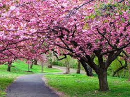 Azi despre ieri: 1 aprilie 2015