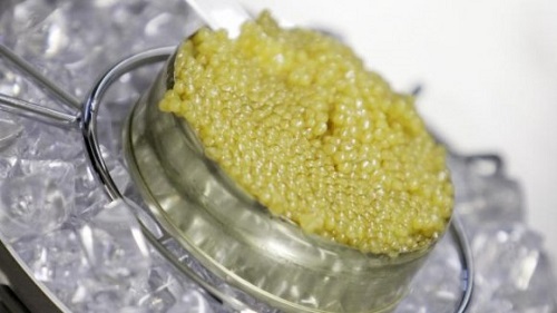 Cel mai scump aliment din lume