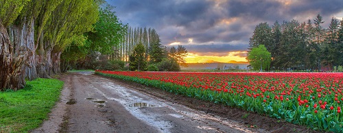 Raliul „Frumusetii Dacia”, de 8 martie la Mioveni