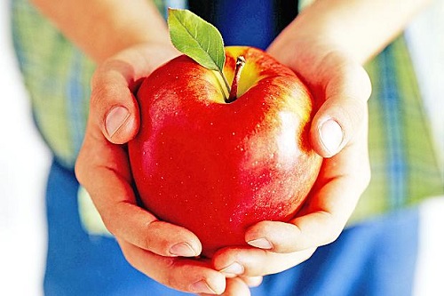 Merele vor ajunge la elevii gorjeni de saptamana viitoare