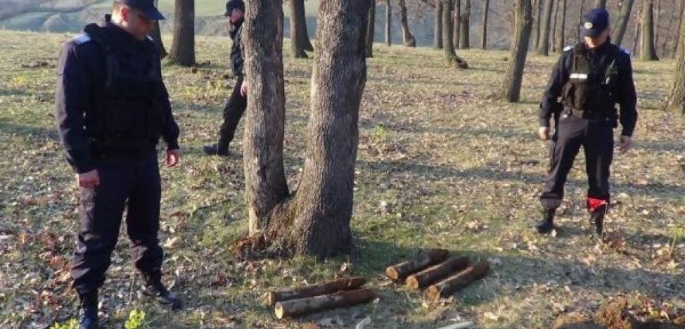 Proiectile neexplodate (audio)