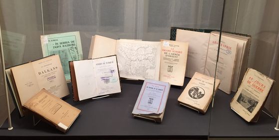 Expozitie la Muzeul de arta