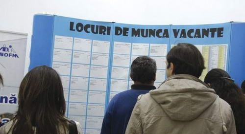Joburi vacante in Olt