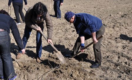 Actiune de plantare in Olt
