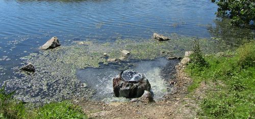 Proiect româno-bulgar