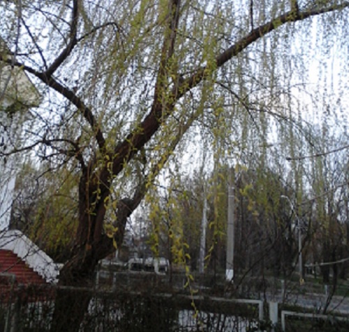 Azi despre ieri – 7 aprilie 2015