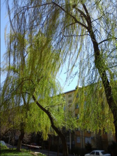 Azi despre ieri – 10 aprilie 2015