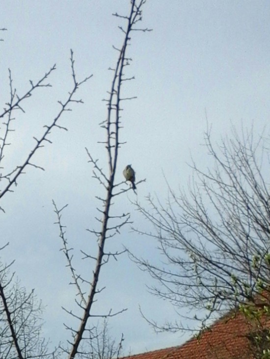 Azi despre ieri – 15 aprilie 2015