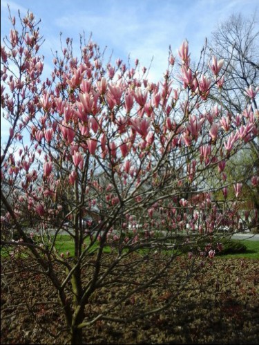 Azi despre ieri – 13 aprilie 2015