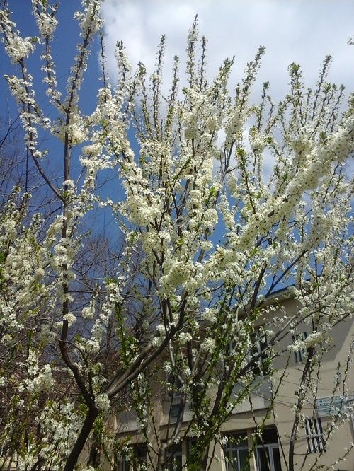 Azi despre ieri – 20 aprilie 2015