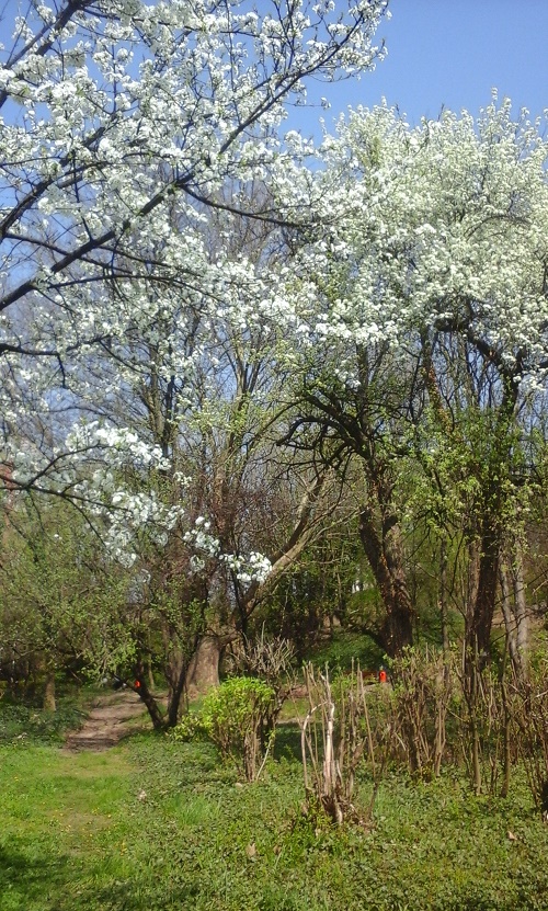 Azi despre ieri – 16 aprilie 2015