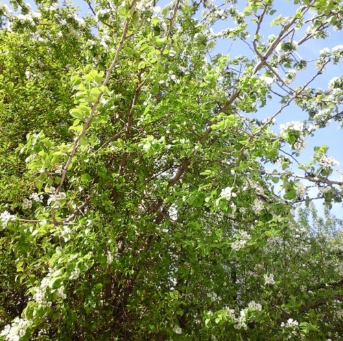 Azi despre ieri – 23 aprilie 2015