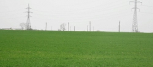 Semănături în Olt