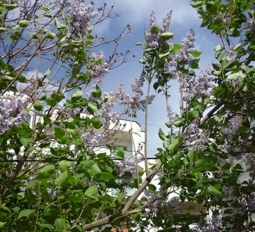 Azi despre ieri – 22 aprilie 2015