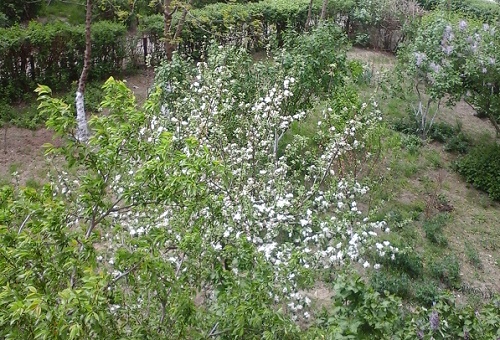 Azi despre ieri – 27 aprilie 2015